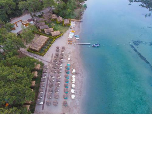 Green Pine Bungalows & Beach Luxury Concept