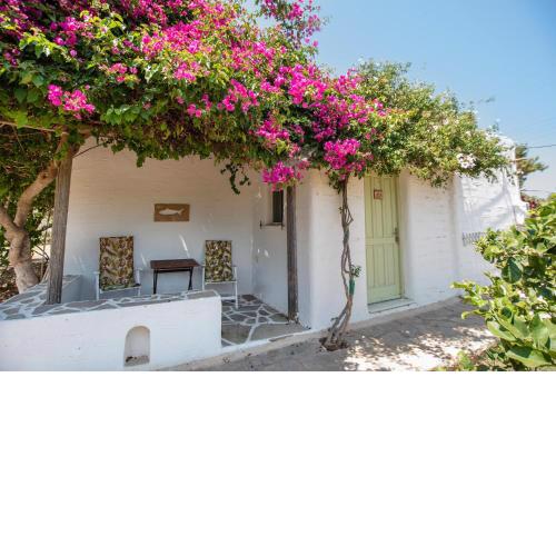 Green Retreats 3 Paros