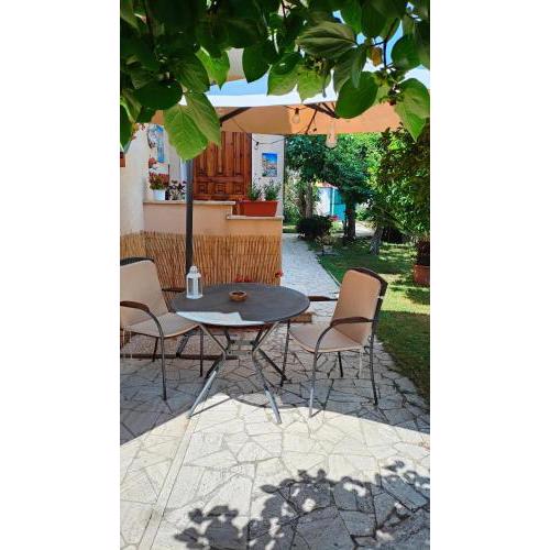 GreenHouse_Anzio