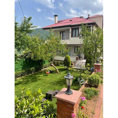 Greenland Villa Premium 61