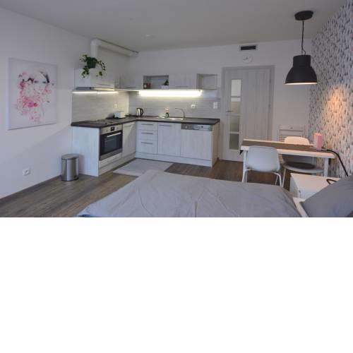 Grey & Pink Apartment Selská