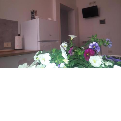 Grifo Apartment