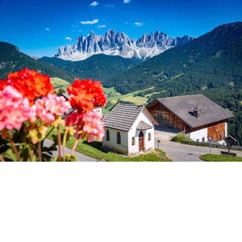 Gruberhof Coll