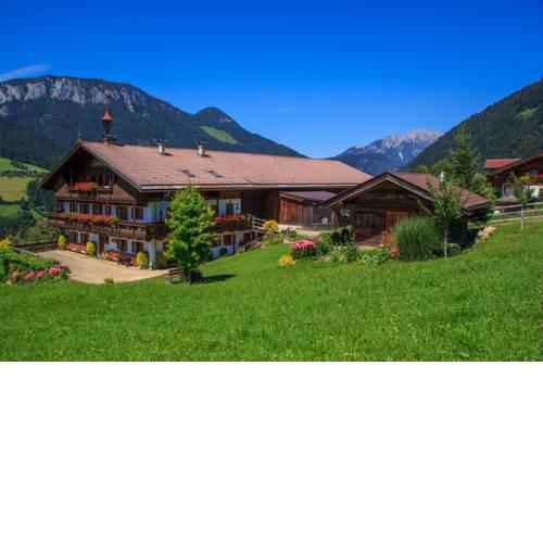 Grünholz