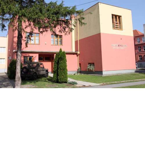 Gubernátor