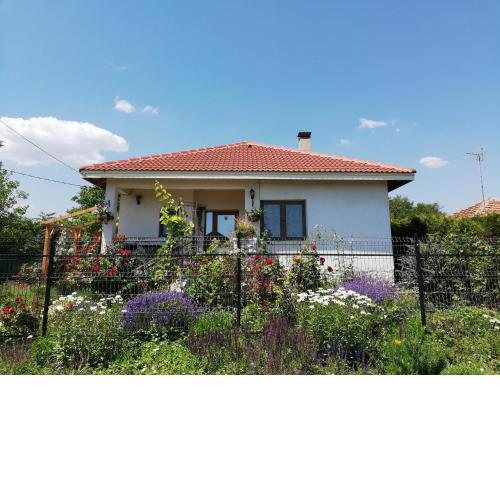 Guest House Albena