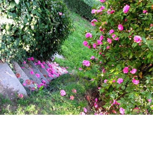 Guest house Cascina Belsito