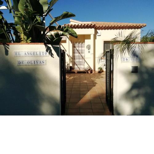 Guest House El Angelito de Olivas