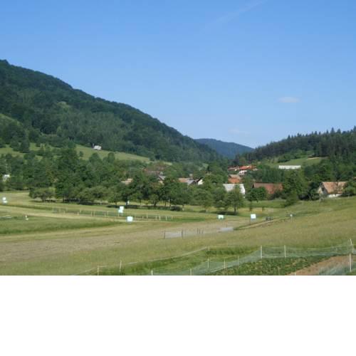 Guest House Kmetija
