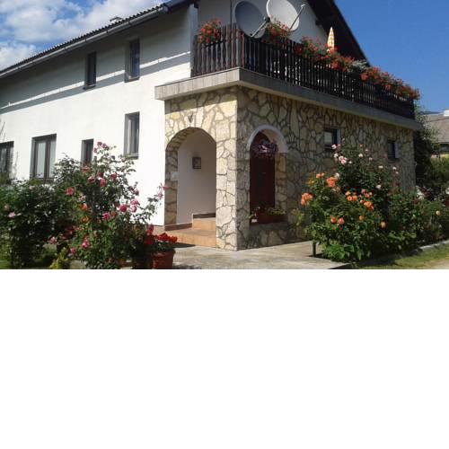 Guest house Ruza