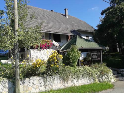 Guest House Štefanija