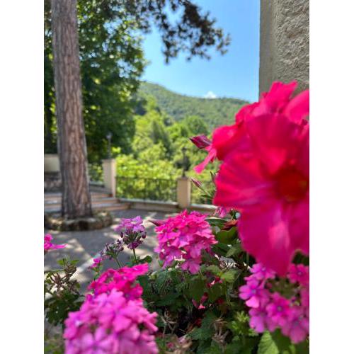 Guest House Subiaco LA DOMUS