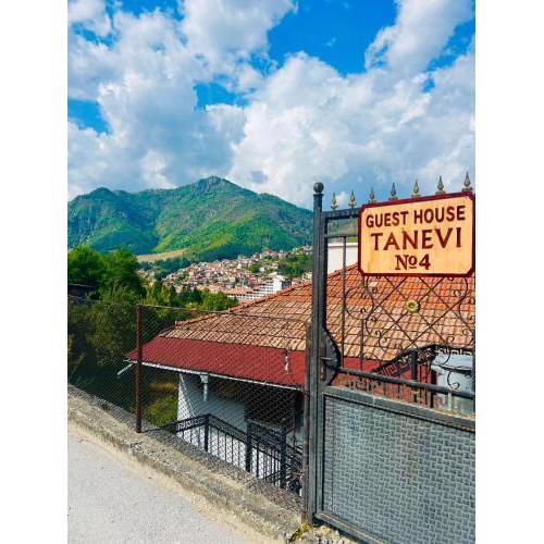 Guest House Tanevi