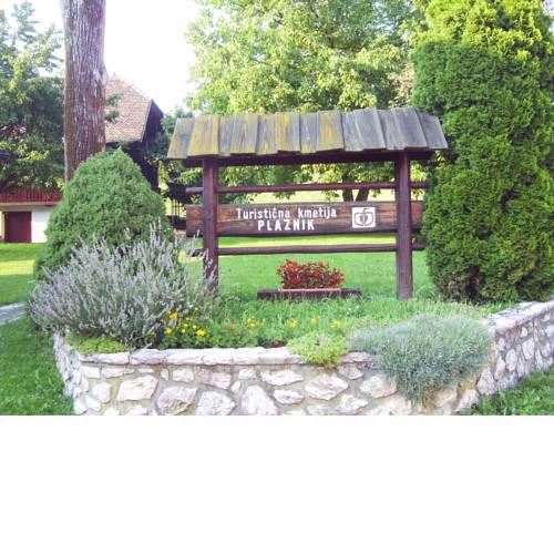 Guest House Turistična kmetija Plaznik
