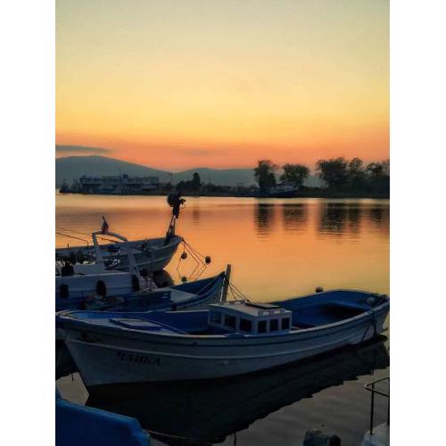 Guest house Veneta
