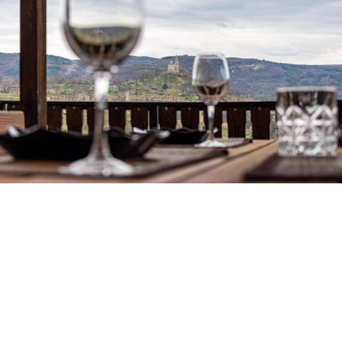 Guest house Viki