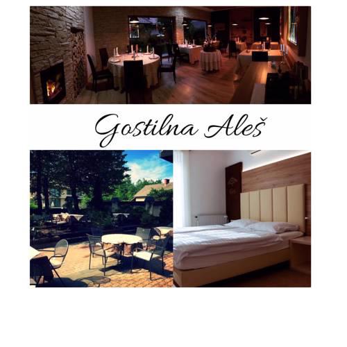 Guesthouse Aleš