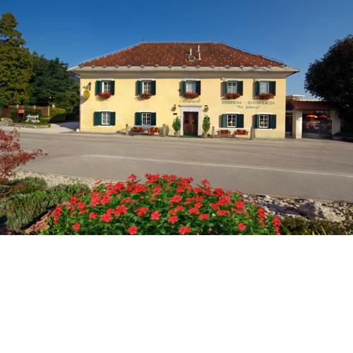 Guesthouse Avsenik