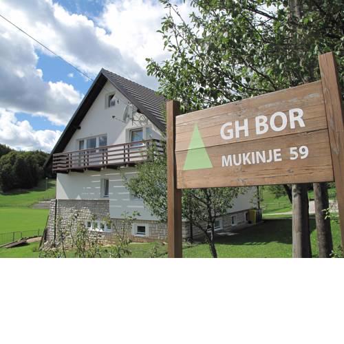Guesthouse Bor