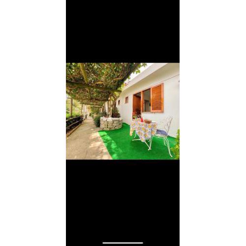 Guesthouse Coralba