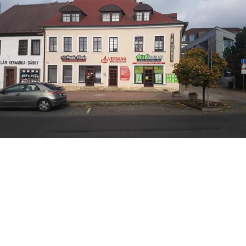 Guesthouse Zlatý Hrozen