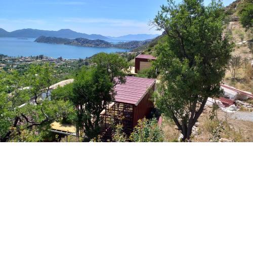 Güney Ege Dogal Yasam