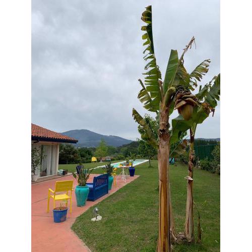 Habitación en la naturaleza 1