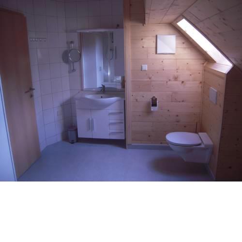 Haflingerhof Luef