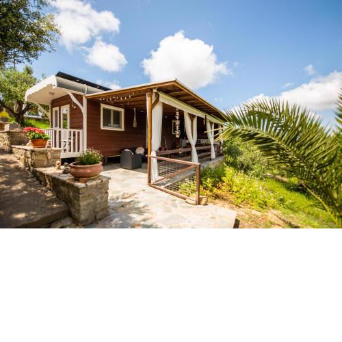 Hakuna Matata Holidays Calida with pool in Greek Olive Grove