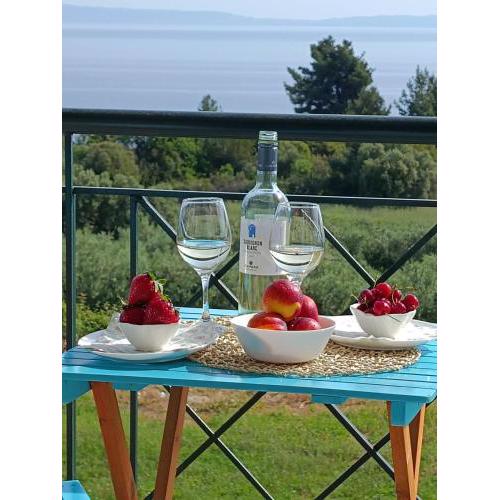 HALKIDIKI SEA VIEW apartment