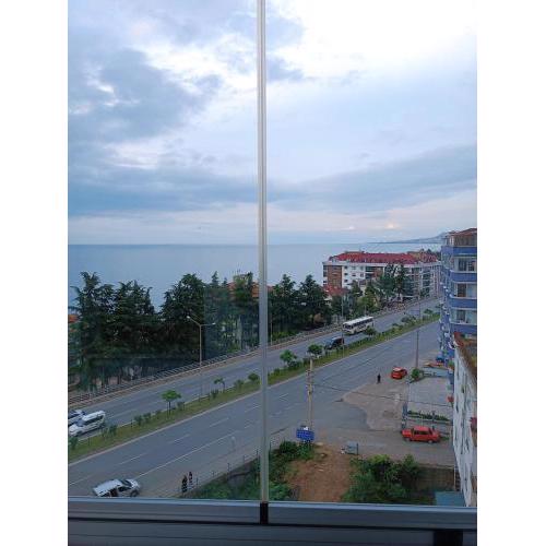 hamdihome