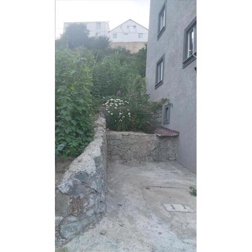 HAMSİKÖY cennet