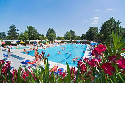 Happy Camp mobile homes in Butterfly Camping Village