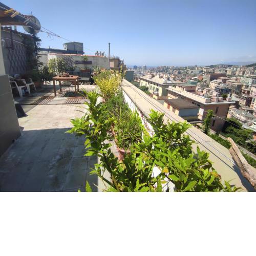 HAPPY HOUSE in GENOVA n.010025-LT-2727