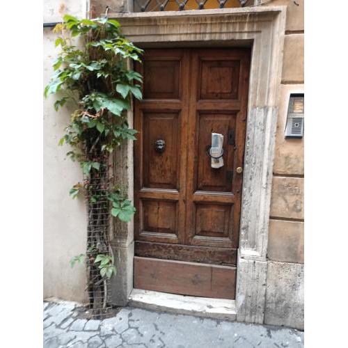 Harmony in Rome