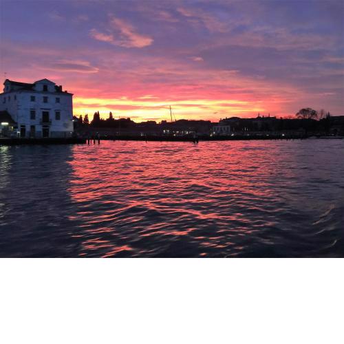Harry's Canal View