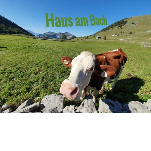 Haus am Bach