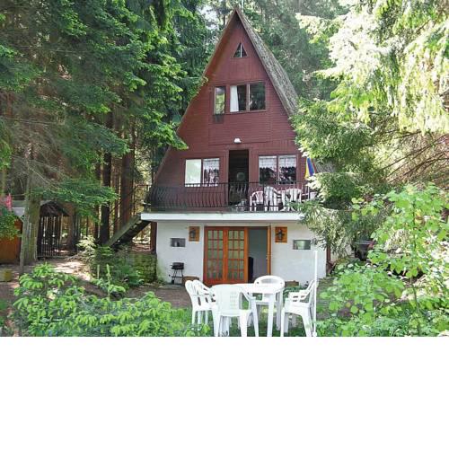 Haus Bily 100S