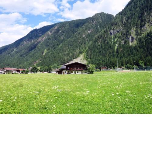 Haus Gredler 250S