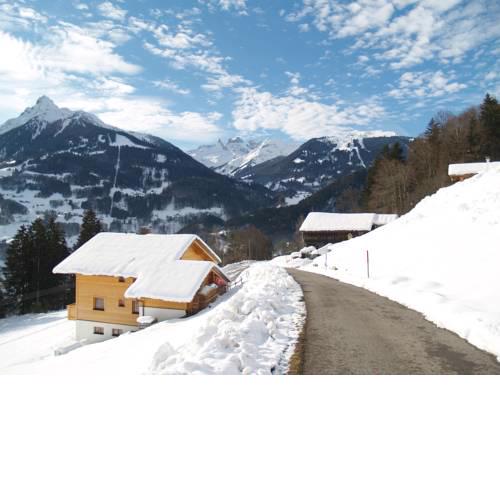 Haus grüner Wald