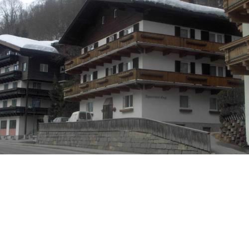 Haus Gugl by Skinetworks