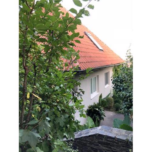 Haus in exklusiver Lage