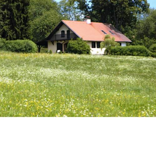 Haus Jezkova 100S