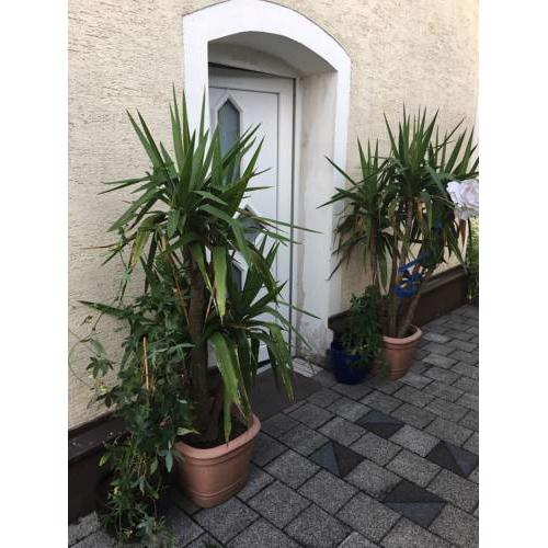 Haus Moraig