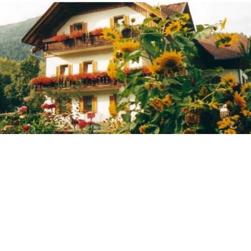 Haus Schuster