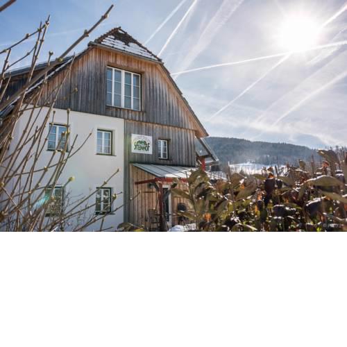 Haus Steinhof
