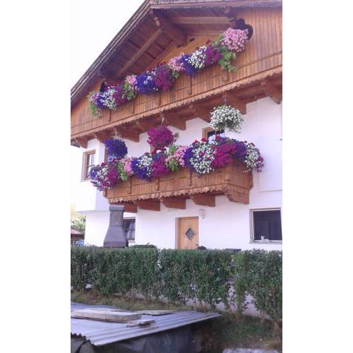 Haus Steixner