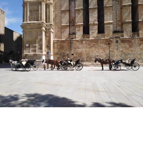 Heart Of Palma