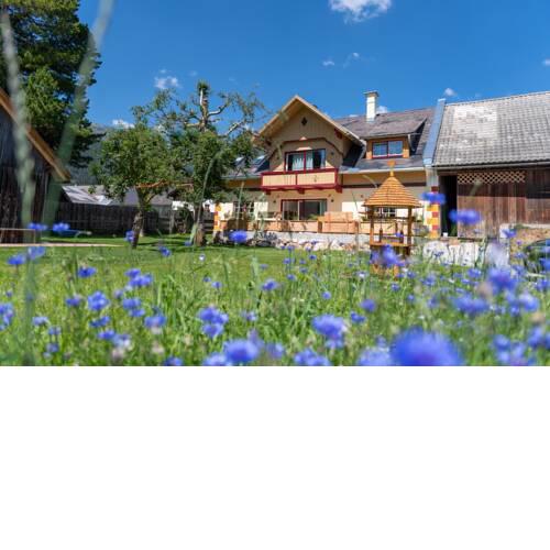 Heimathaus Dengg
