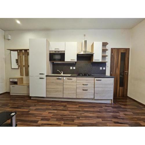 Helen Homestay Andel Prague